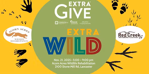 EXTRA WILD ExtraGive