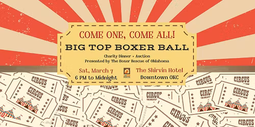 Big Top Boxer Ball