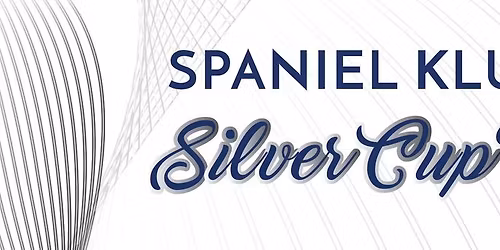 Silver Cup