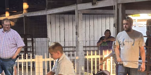 2026 4-H & FFA Open Swine Show