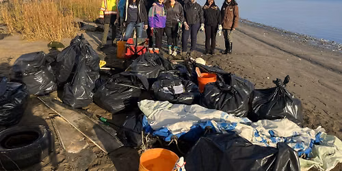 Penn Shoreline Cleanup