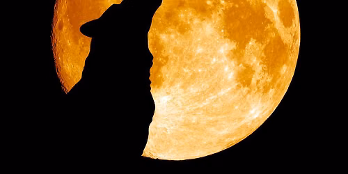 Future Intentions Full Moon Event