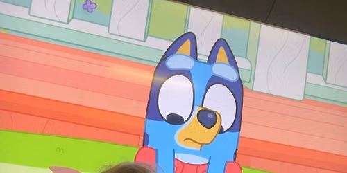 Bluey party for Charlie and Sophie 