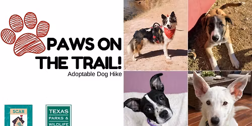 Paws on the Trail! - Adoptable Dog Hike