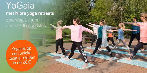 YoGaia - Yoga in de dierentuin