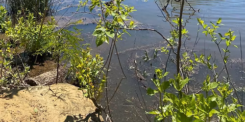 Walk Off the Stuffing