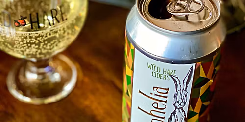 Trivia Night at Wild Hare Cider Pub