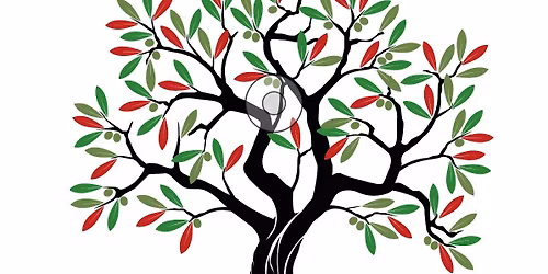 Heure des contes palestiniens