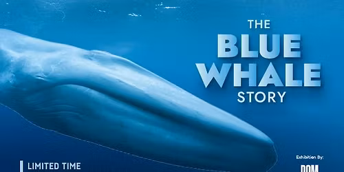 The Blue Whale Story - traveling exhibition