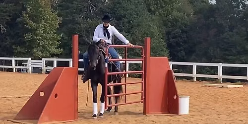 LambFarm Obstacle Clinic
