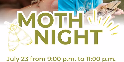 Moth Night