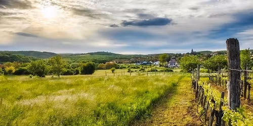 Fels\u0151\u00f6rsi borkaland t\u00fara