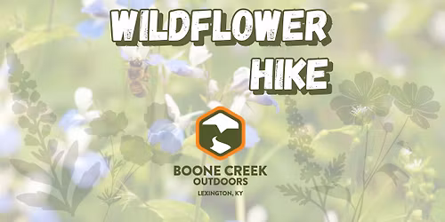 Spring Wildflower Hike