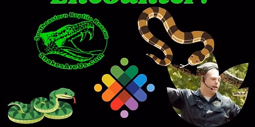 Southeastern Snake Encounter!