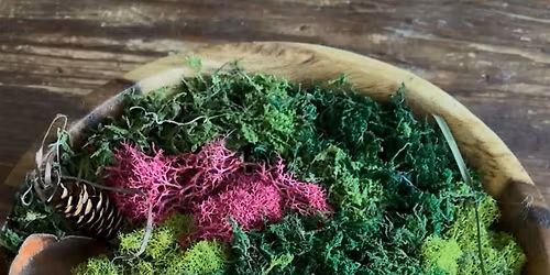 DIY Moss Bowl Centerpiece