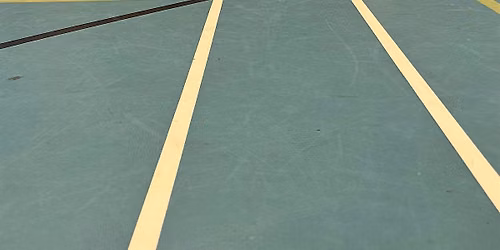 ON THE MOVE: dodgeball