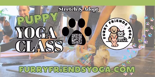 Puppy Yoga at Locals Marketplace