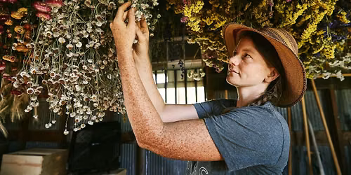 Medicinal Herb Gardening at Finley Farms