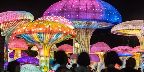 Christmas lights Festival Kwadukuza 2025