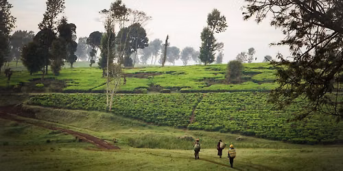 Kikuyu Land