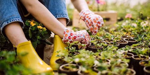 Maturing with Your Garden