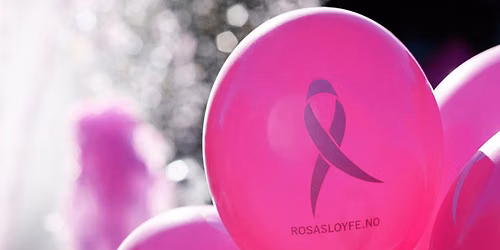 Rosa sl\u00f8yfe-l\u00f8pet Drammen
