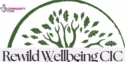 Rewild Wellbeing Social \u2022 Yoga Nidra & Palmistry