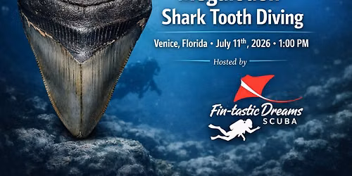 Megladon Shark Tooth Hunt