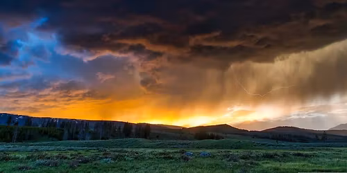 Science Walk I F\u00fchrung durch den Messgarten der GeoSphere Austria
