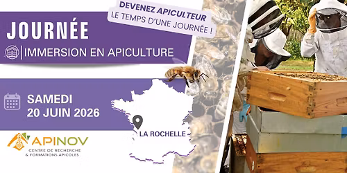Immersion en apiculture