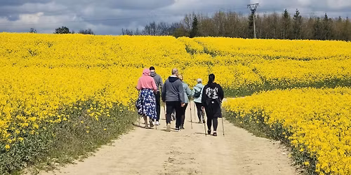 Nordic Walking w Mezowie - wiosennie