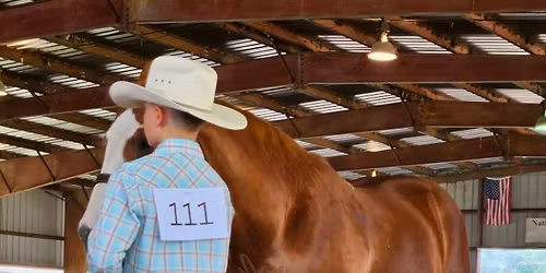BHCSC Open Horse Shows 