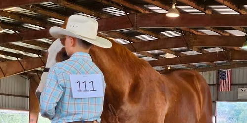 BHCSC Open Horse Shows 