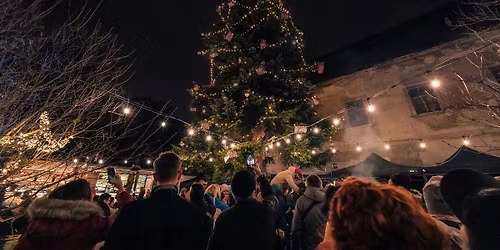 Rozsv\u011bcen\u00ed v\u00e1no\u010dn\u00edho stromu na Zahrad\u011b