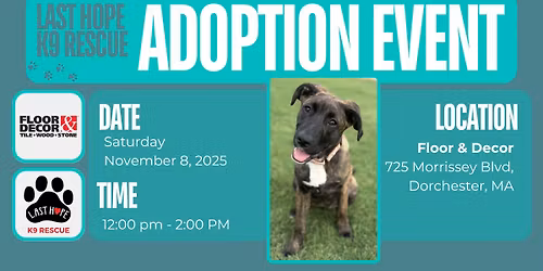 Floor & Decor hosts the LHK9 Adoption Event!