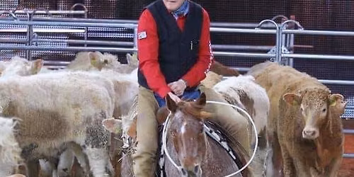 Rinderarbeit mit Uwe R\u00f6schmann