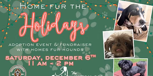 Home Fur The Holidays- Adoption Event with Homes Fur Hounds