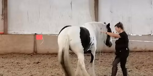 The Retreat & Understand Your Horse Camps