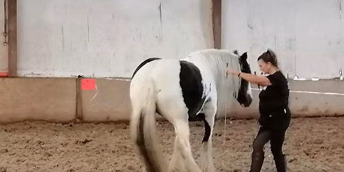 The Retreat & Understand Your Horse Camps