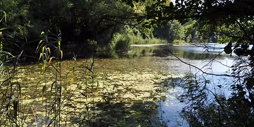 T\u00fara a Dr\u00e1va-\u00e1rt\u00e9rben \u2013 \u0150rtilos-Szentmih\u00e1ly-hegy patakv\u00f6lgyek