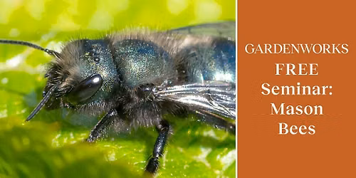 FREE Seminar: Mason Bees with Tom Leahy at GARDENWORKS Saanich