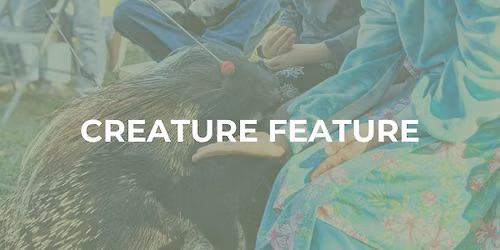 Creature Feature