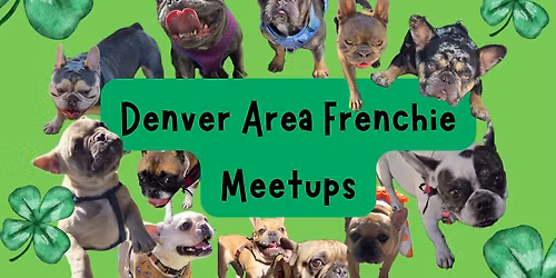 Denver Area Frenchie Meetups - March 2026