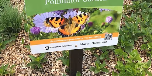 Walk and Talk with a Master Gardener at Wildwood Park