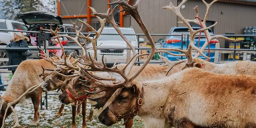 SANTA & HIS REINDEER VISIT THE BREWERY