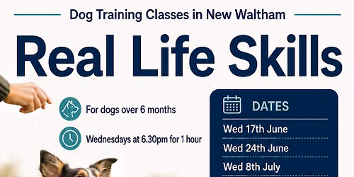 Real Life Skills - Dog Training Classes
