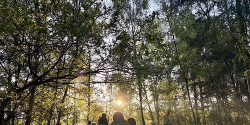 Lincoln Hike Club - Sunrise Walk 3  - Hartsholme & Swanholme Circular