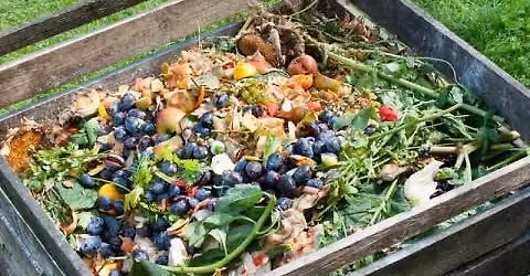 Backyard Composting