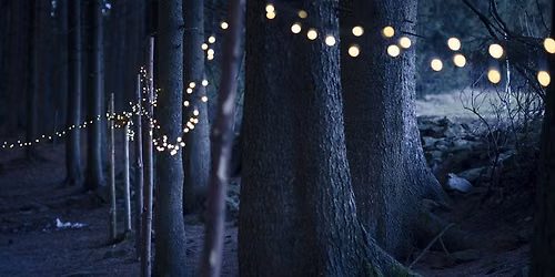 Winter Solstice