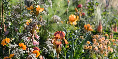 Planting for All Year Interest in Your Garden - Easy Design Course